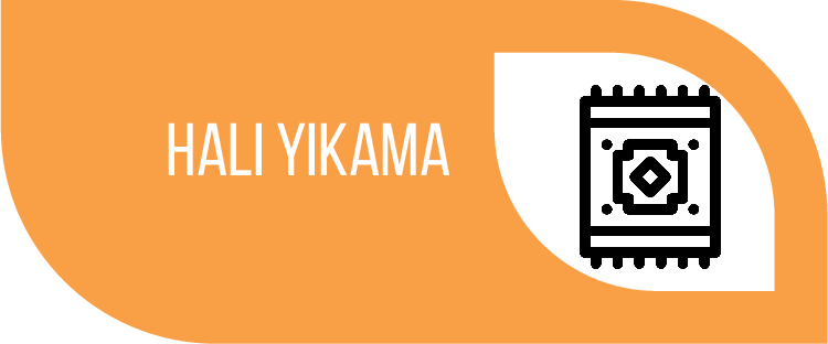 Halı Yıkama