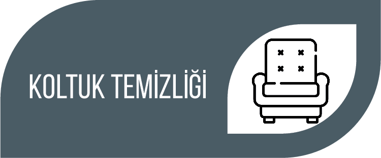 Koltuk Temizliği